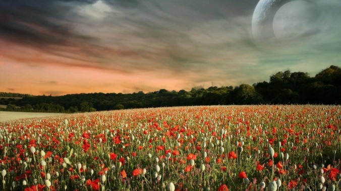 你认为美国最近30年最烂的一个总统是谁？